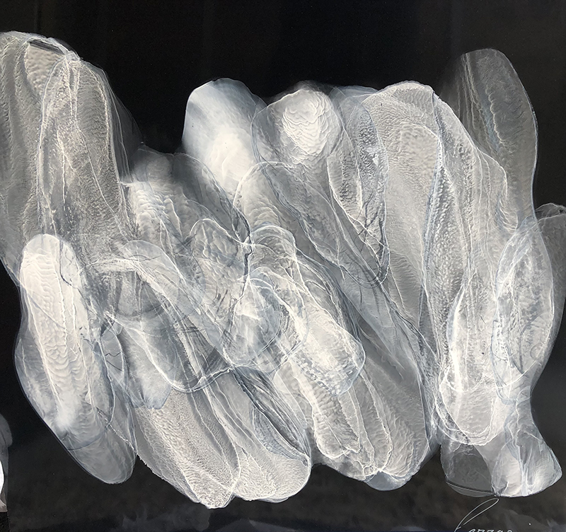 Tableau abstrait noir et blanc sur métal avec vernis lumineux et glossy